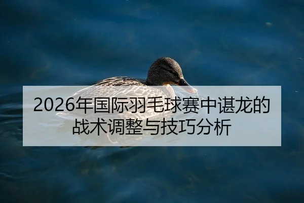 2026年国际羽毛球赛中谌龙的战术调整与技巧分析