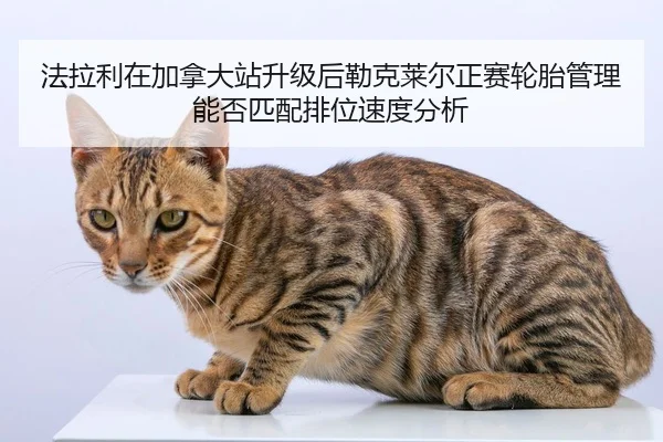fa-la-li-zai-jia-na-da-zhan-sheng-ji-hou-lei-ke-lai-er-zheng-sai-lun-tai-guan-li-neng-fou-pi-pei-pai-wei-su-du-fen-xi-2-479.jpg