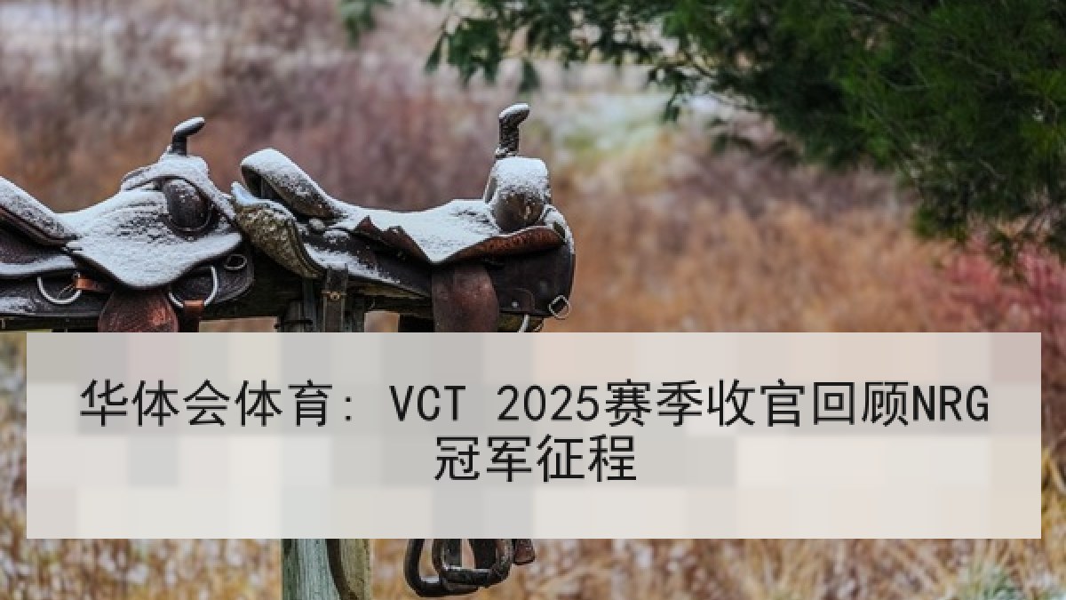 华体会体育: VCT 2025赛季收官回顾NRG冠军征程